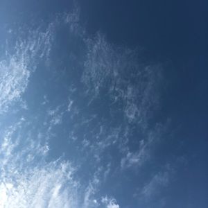 Meet your Posher, Madeline